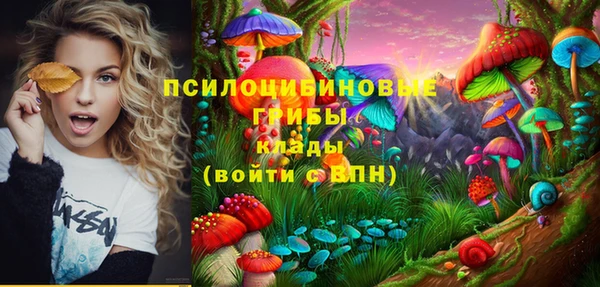 трава Заводоуковск
